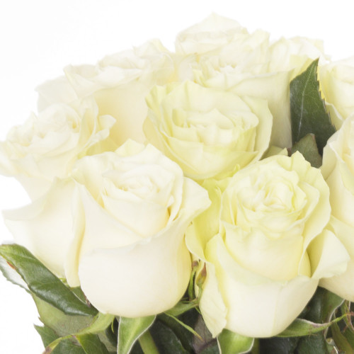 Монобукет из 9 белых роз Эквадор 70 см